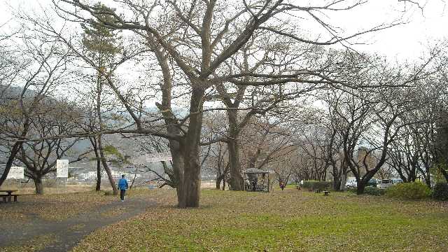 静かなたたずまい